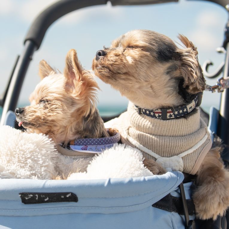 七海　睦美ちゃん