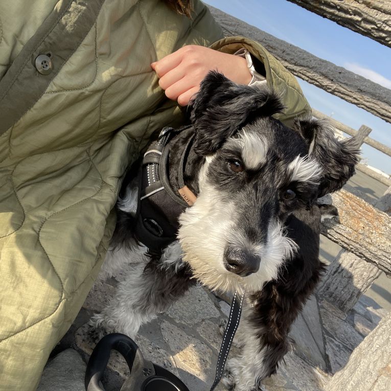 じじさんちゃん