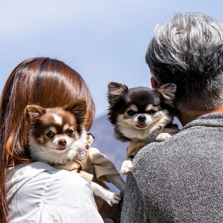 メル＆ラフちゃん