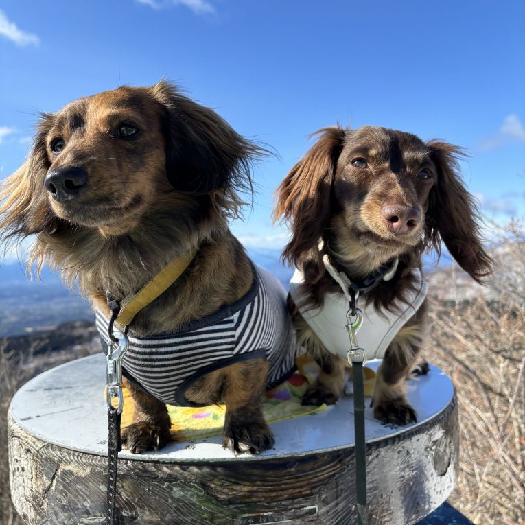 そらとてんちゃん