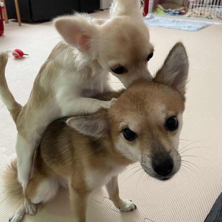 うらら、こころちゃん