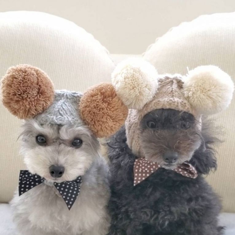 クロエとブランちゃん