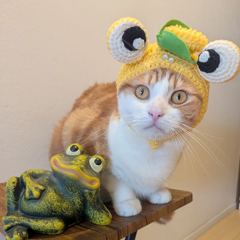 杞阿（きあ）ちゃん