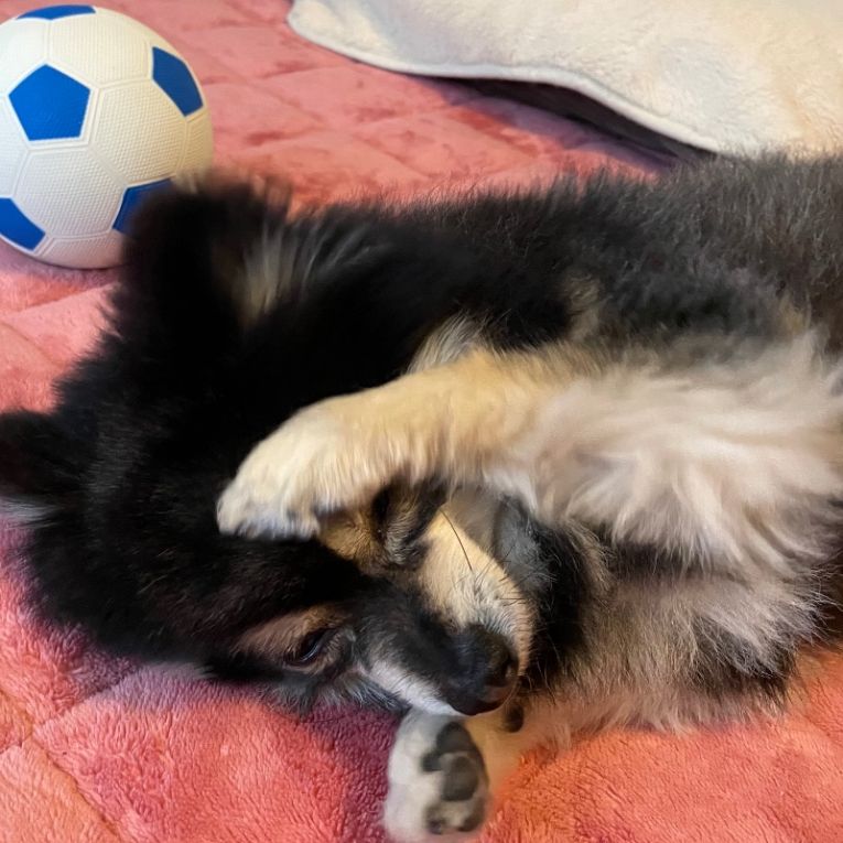 なるくんちゃん