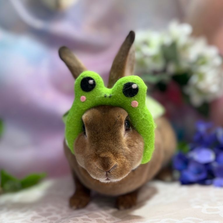 はるちゃん