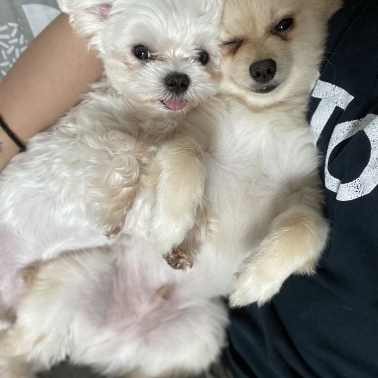 ちっち&モカちゃん