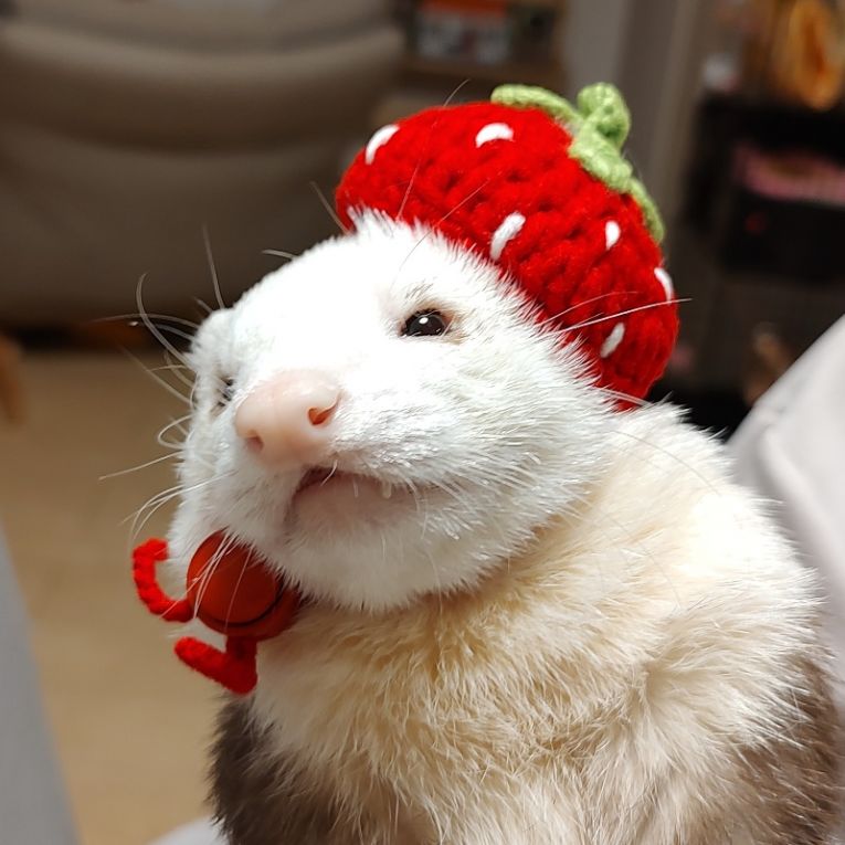 あまぐりちゃん