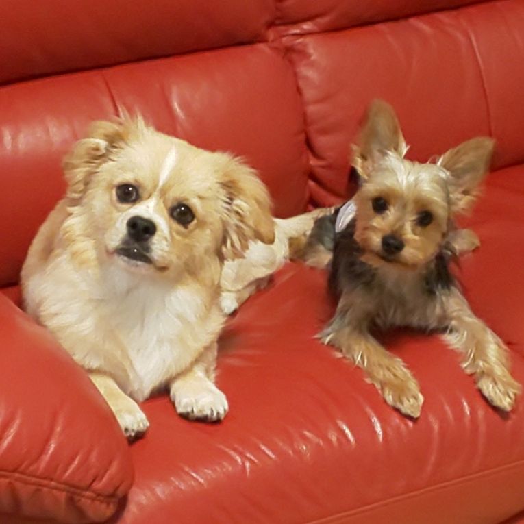 りく＆レオちゃん