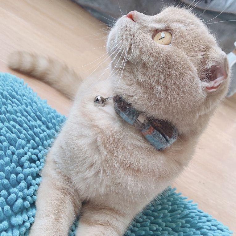 あもちゃん