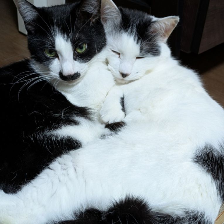 ふぅ＆ムタちゃん