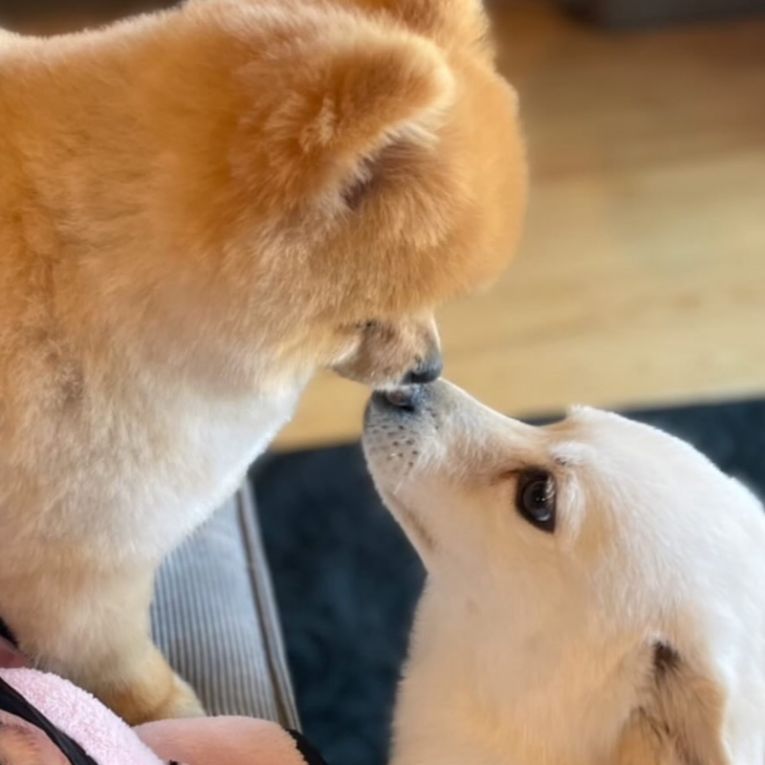リーちゃん&シュルちゃん