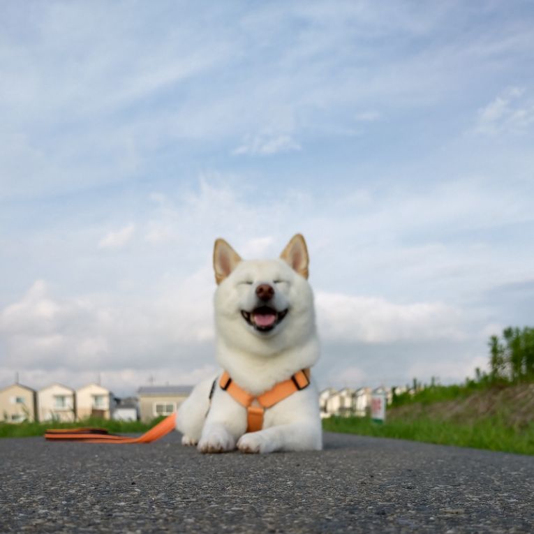 ゆきちゃん