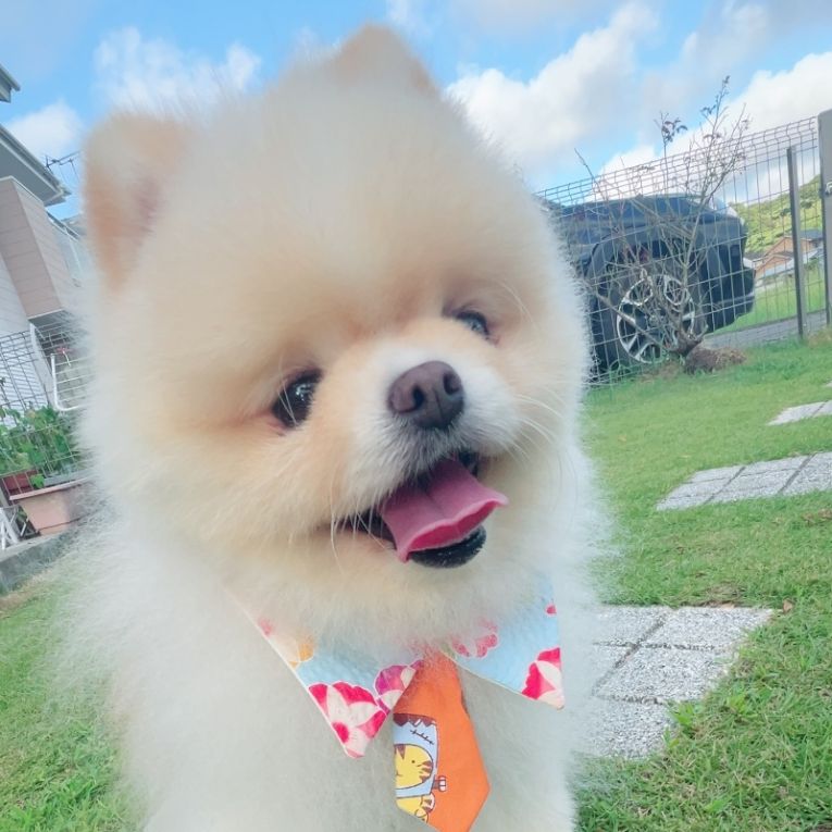 ムサシちゃん