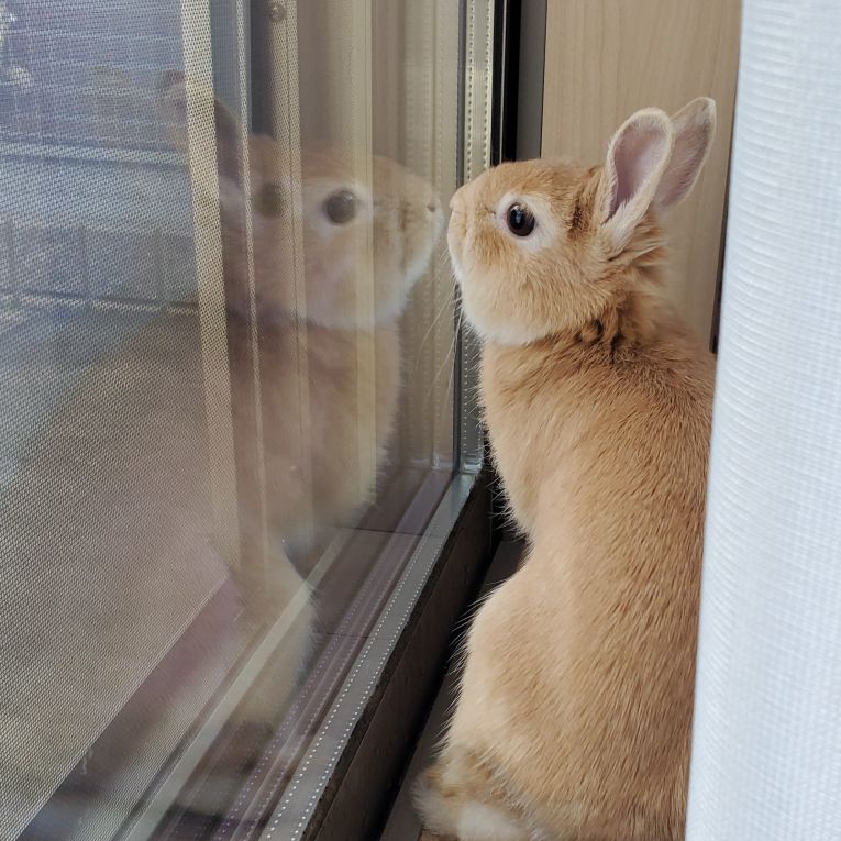 そらちゃん