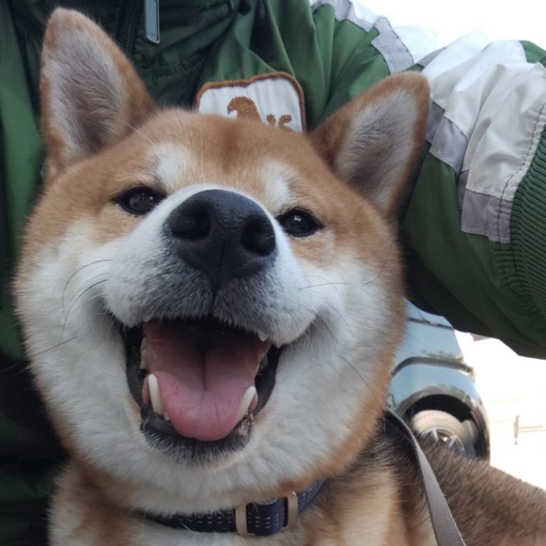 元気ちゃん
