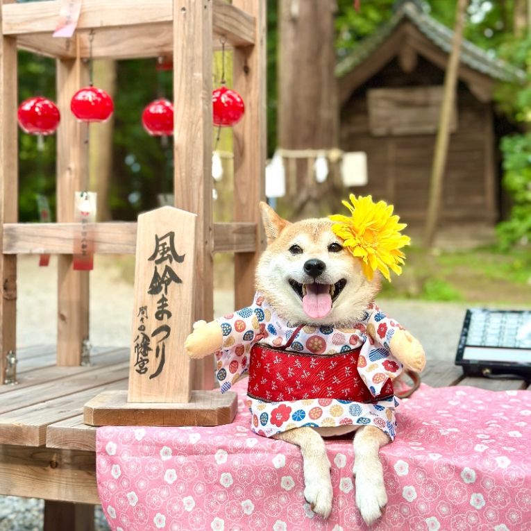 つむぎちゃん