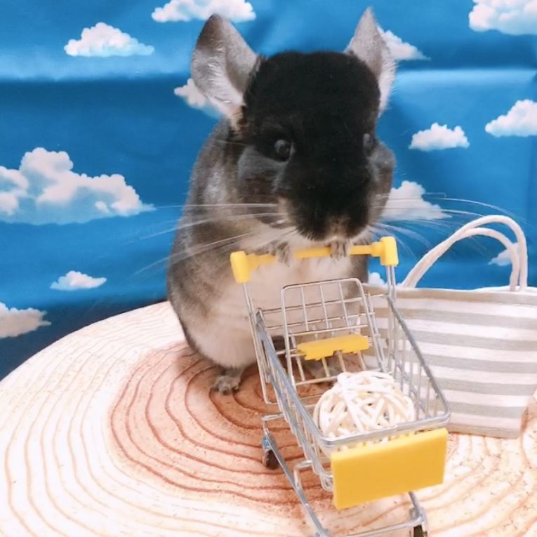 MACちゃん