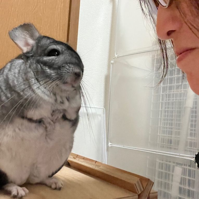 あずきちゃん