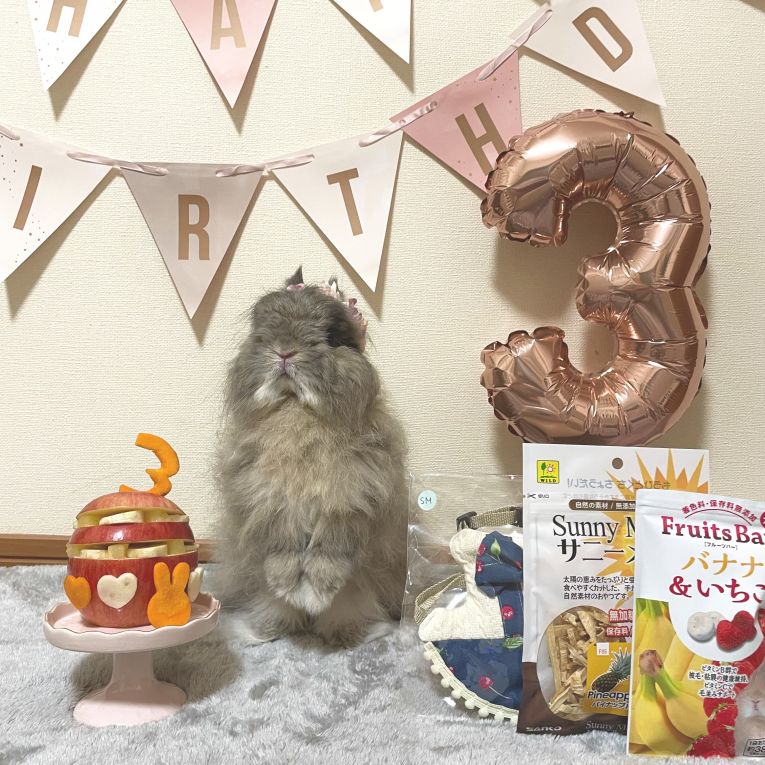 シフォンちゃん