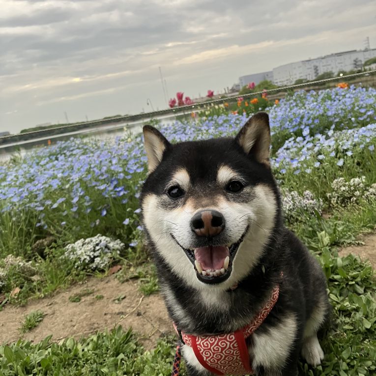 ラッキーちゃん