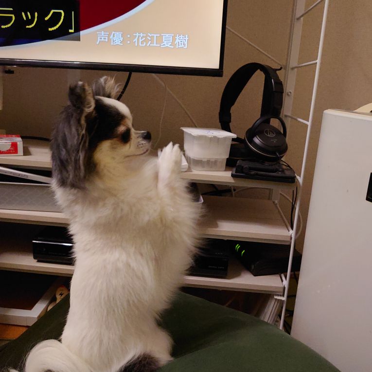 はなちゃん