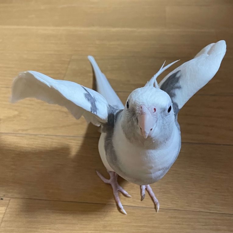 うみちゃんちゃん