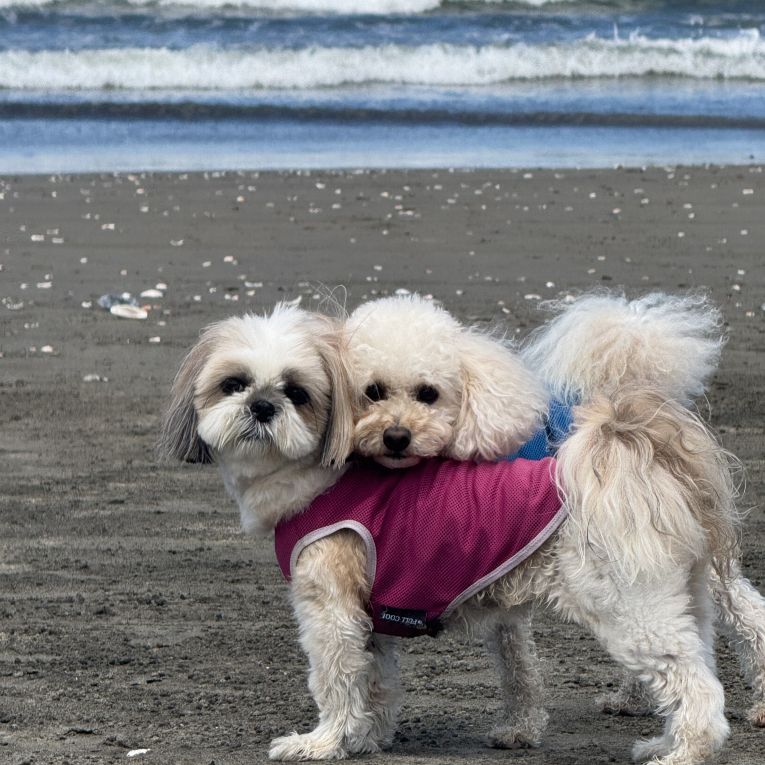 海奈と瀬人ちゃん