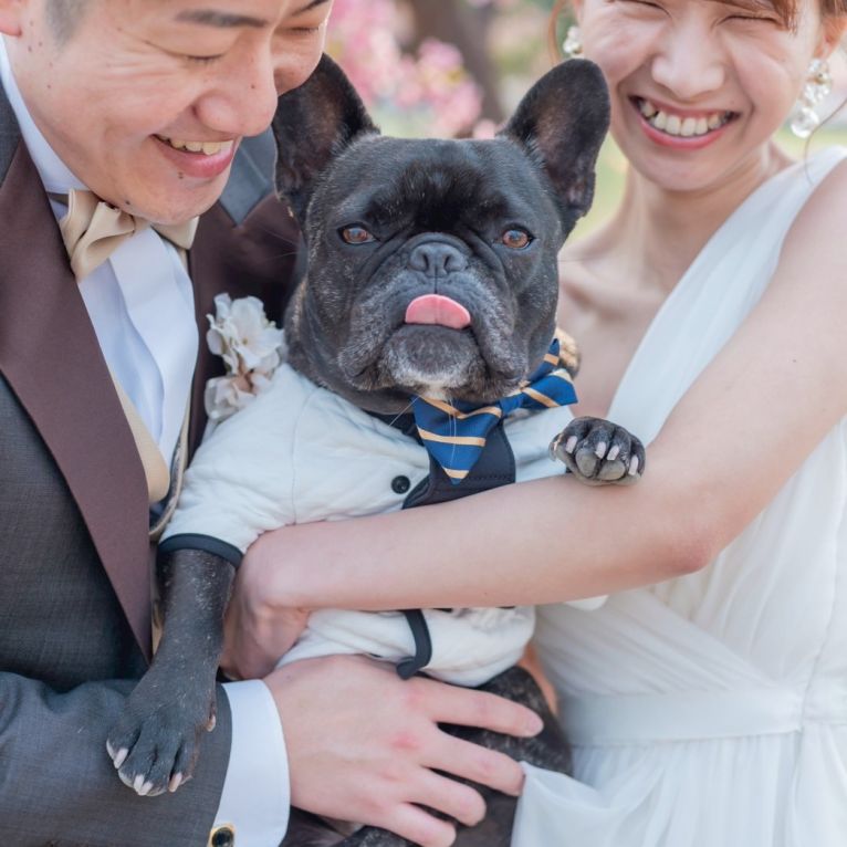 co coちゃん