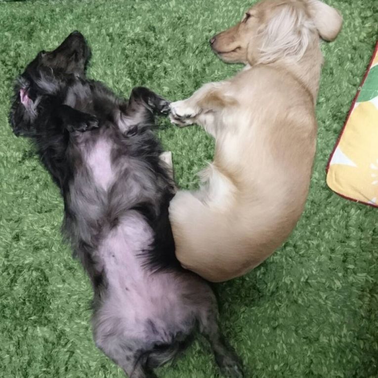 奈々＆メイちゃん