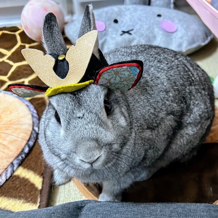 リノアちゃん