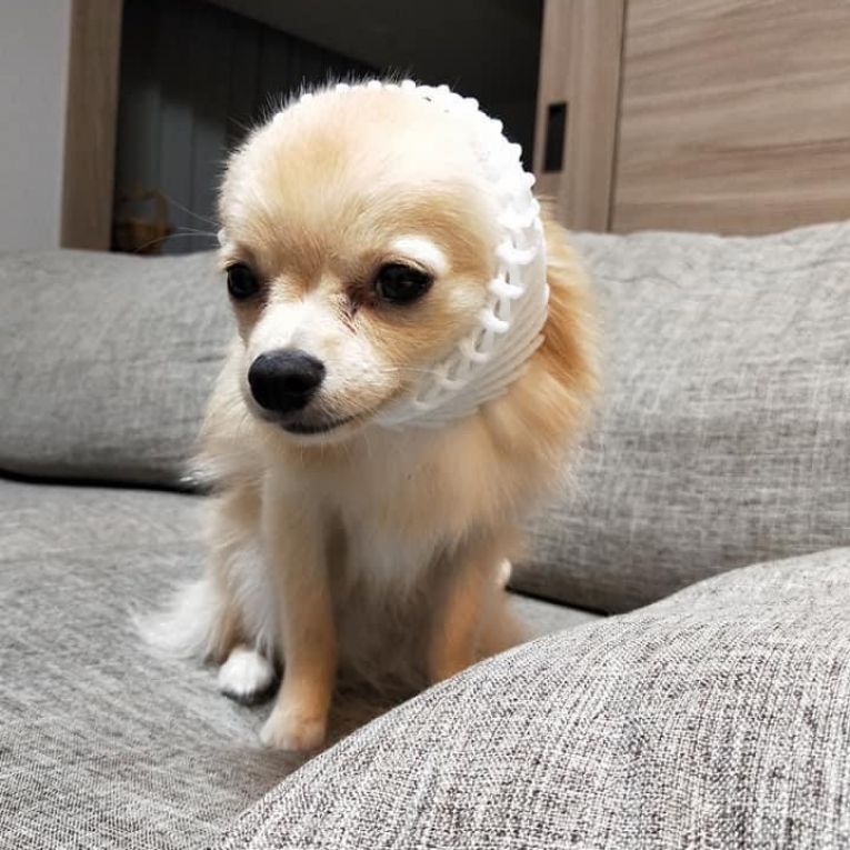 まろ、ぽぽちゃん