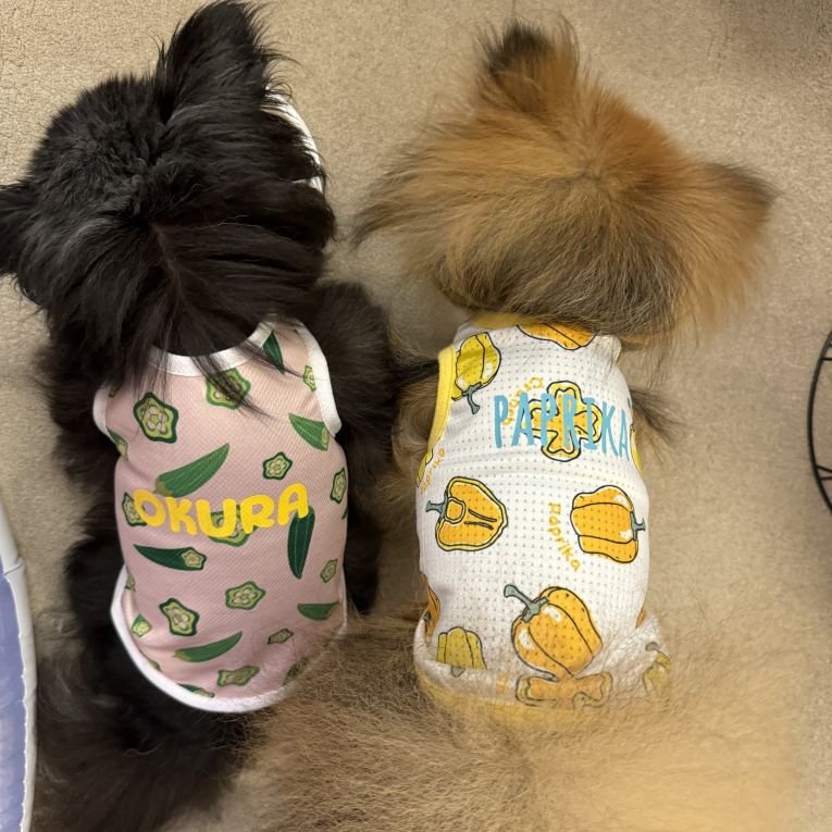 るい くろちゃん