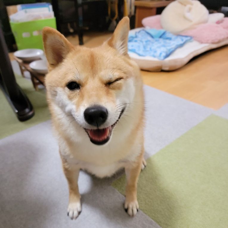 大山　さんまちゃん