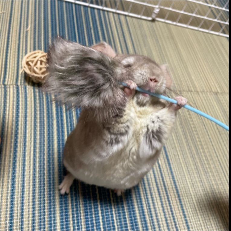 もぐちゃん