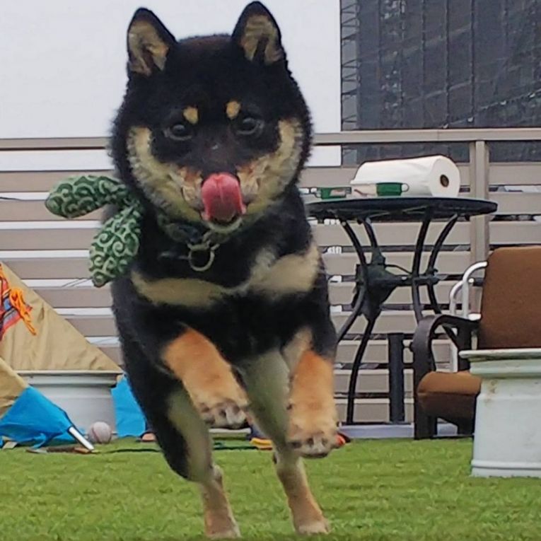 ケンタちゃん