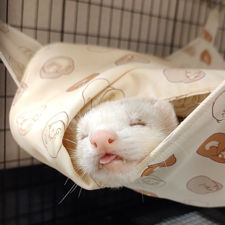 あまぐりちゃん