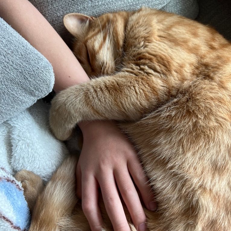 チャッピーちゃん