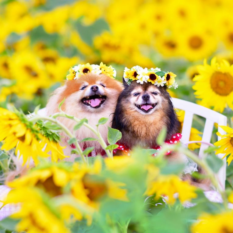 あんず＆こももちゃん