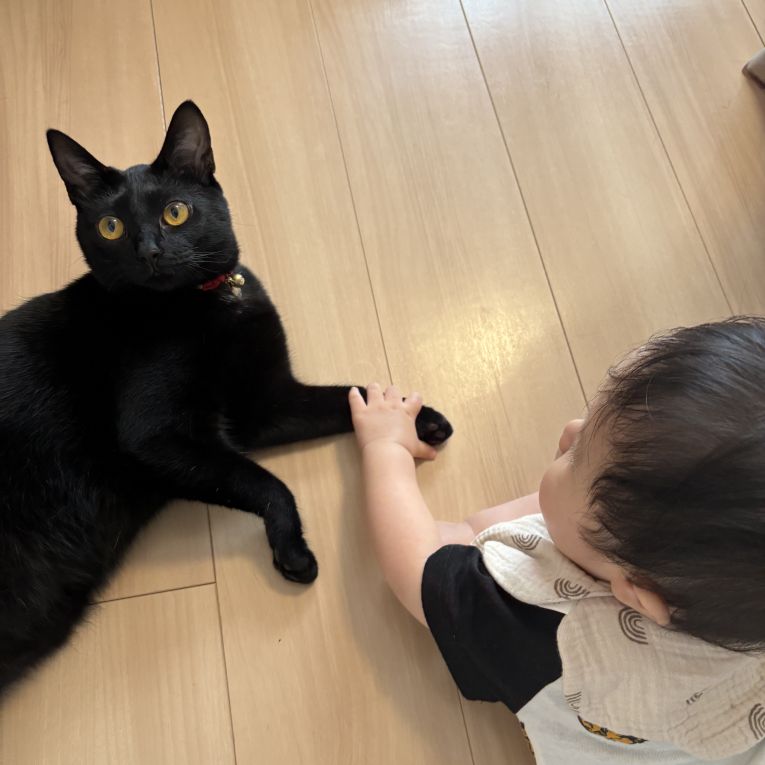 ろせちゃん