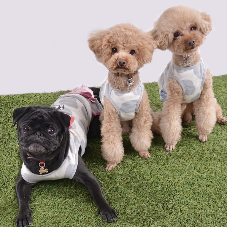 シェリ、ラキ、すみれちゃん