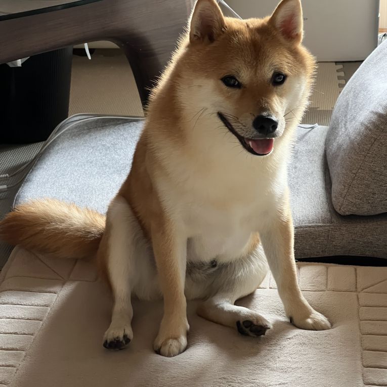 めんまちゃん