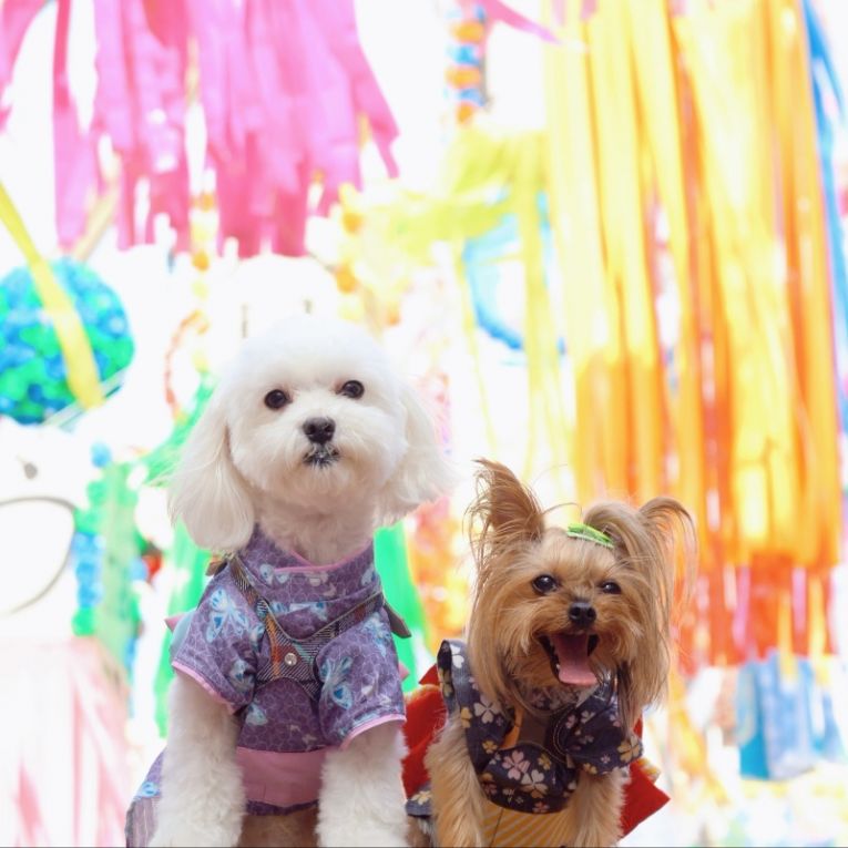 マロン＆ルルちゃん