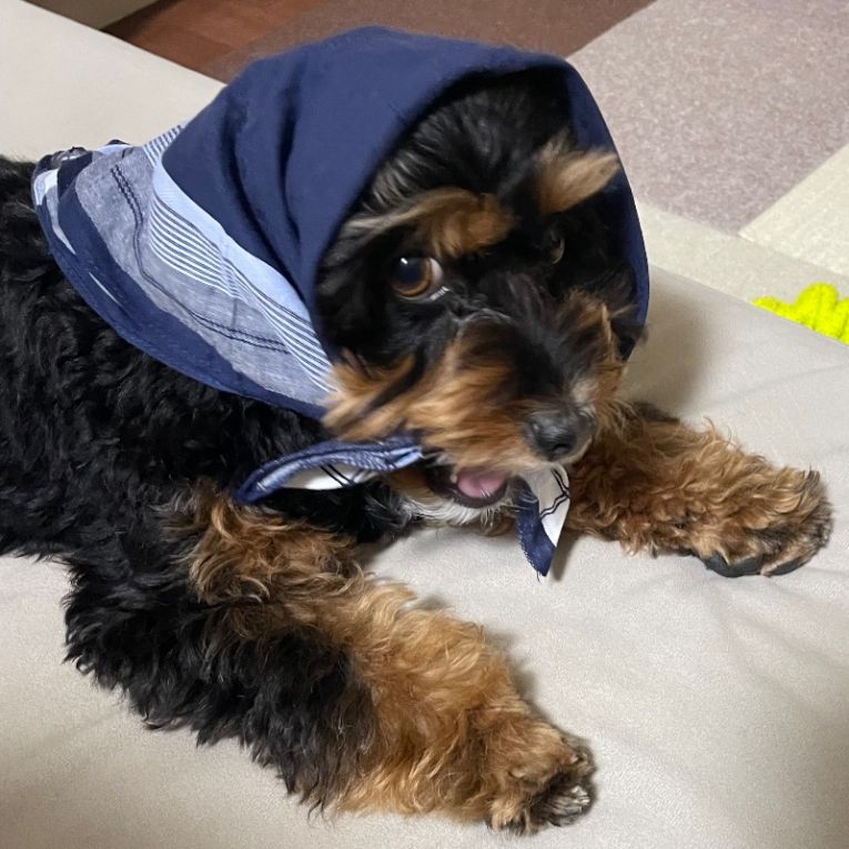 もんじゃちゃん