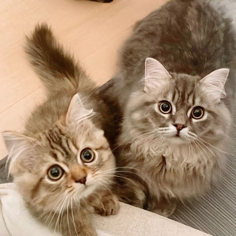 ぽて、ぷてちゃん