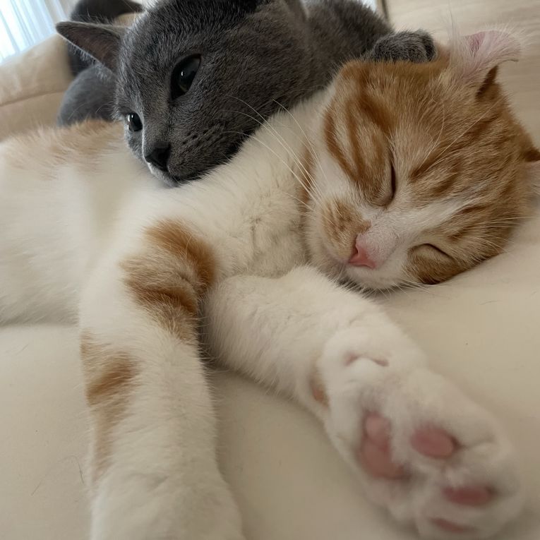 ひな、るなちゃん