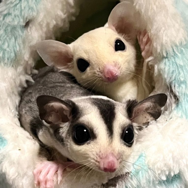 のん＆ものちゃん