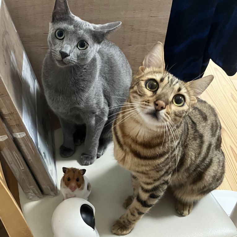 にこりんちゃん