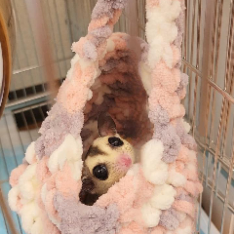 ビビちゃん