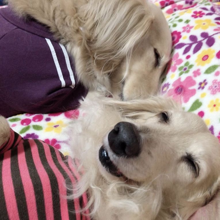 マッシュとみゅうちゃん