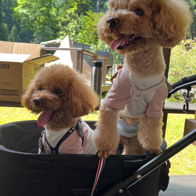 シェリ、ラキちゃん